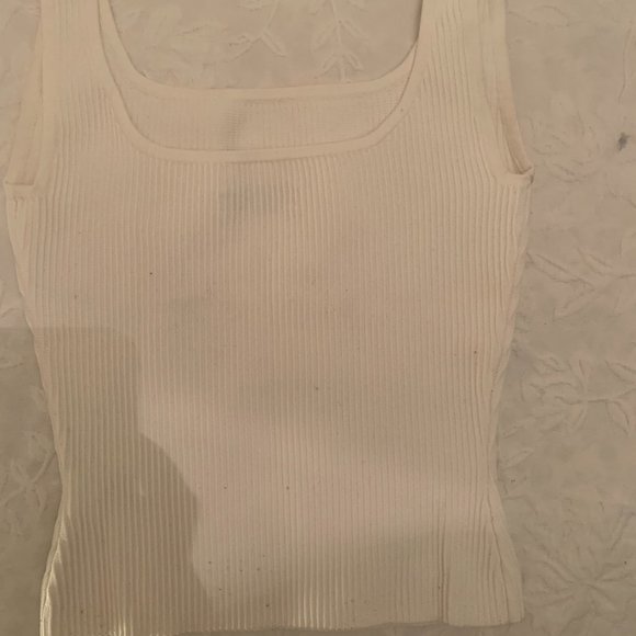 Babaton (Aritzia) Sculpt Knit Tank (Full-length) - Picture 4 of 4